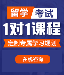 操我小骚逼小视频留学考试一对一精品课